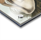 Trumpeter Swan Acrylic print