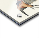 Barn Swallow Impression Acrylique