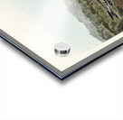 Lapland Long-spur Acrylic print