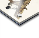 Red-Cockaded Woodpecker Acrylic print