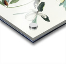 Warbling Flycatcher Acrylic print