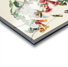 Ruby-throated Humming Bird Acrylic print