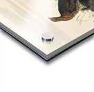 Spotted Grouse Acrylic print