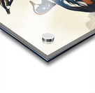 Harlequin Duck Acrylic print