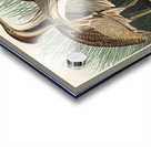 American Bittern Acrylic print