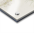 Tawny Thrush Acrylic print