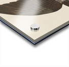 Fish Hawk or Osprey Acrylic print