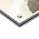 Rocky Mountain Plover Acrylic print