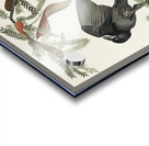 Fish Crow Acrylic print