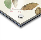 Fish Crow Acrylic print