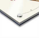 Hermit Thrush Acrylic print