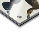 Ring-necked Duck Acrylic print