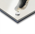 Le Petit Caporal Acrylic print