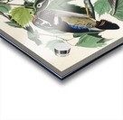 Summer or Wood Duck Acrylic print