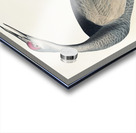 Hooping Crane Impression Acrylique