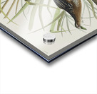 Sora or Rail Acrylic print