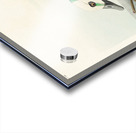 Western Duck Acrylic print