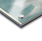 Lenaida Dove Acrylic print