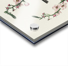 Chestnut-sided Warbler Acrylic print