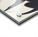 Chestnut-sided Warbler Acrylic print