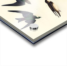 Bank Swallow and Violet-green Swallow Acrylic print