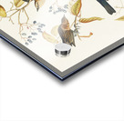 Rusty Grakle Acrylic print