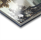 Yellow Shank Acrylic print