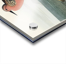 Red-breasted Sandpiper Acrylic print