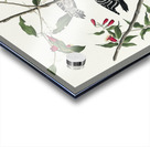 Downy Woodpecker Acrylic print