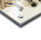 Republican or Cliff Swallow Acrylic print