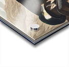 Common Cormorant Acrylic print