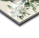 Ground Dove Acrylic print