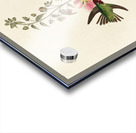 Columbian Humming Bird Acrylic print