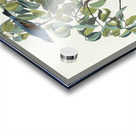 Blue Grosbeak Acrylic print