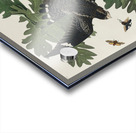 Night Hawk Impression Acrylique