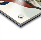 Ruddy Duck Acrylic print