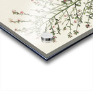 Orange-crowned Warbler Acrylic print