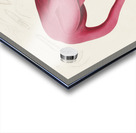 Pink flamingo Acrylic print