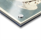 American Ptarmigan and White-tailed Grous Acrylic print