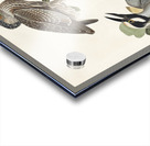 Yellow-Crowned Heron Acrylic print