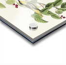 Carbonated Warbler Acrylic print