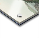 Puffin Acrylic print