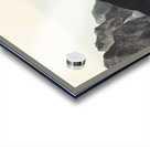 Long-tailed or Dusky Grous Acrylic print