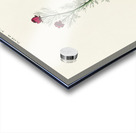 Selbys Flycatcher Acrylic print