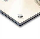 Glossy Ibis Acrylic print