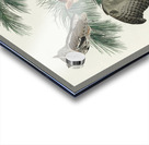 Little Screech Owl Acrylic print