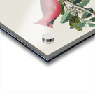 Cardinal Grosbeak Acrylic print