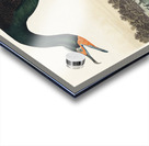 Florida Cormorant Acrylic print