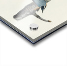 Red-breasted Nuthatch Impression Acrylique