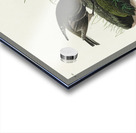 Cow-pen Bird Acrylic print